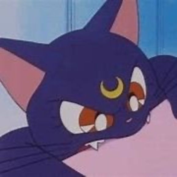 Meet your Posher, Luna - Picture 1 of 1